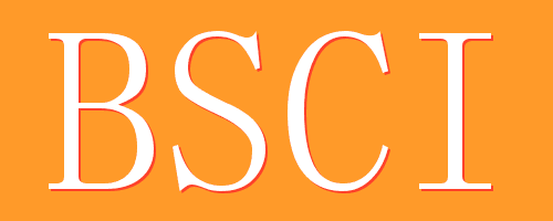 企帮咨询：为什么要做BSCI验厂