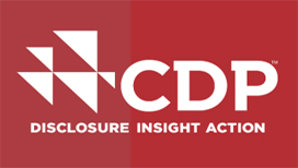 CDP碳排放披露,2919