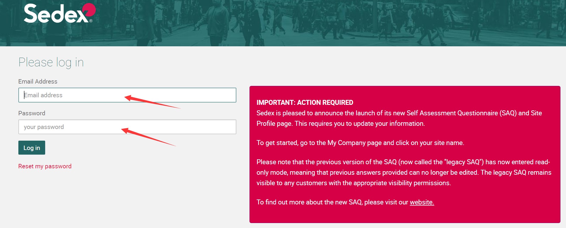 1595996262178829.jpg 22.jpg